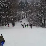 פארק נופש Park בראשוב