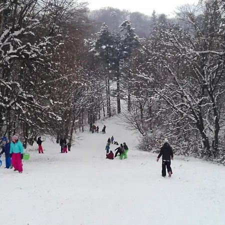 Park Holiday park 3*