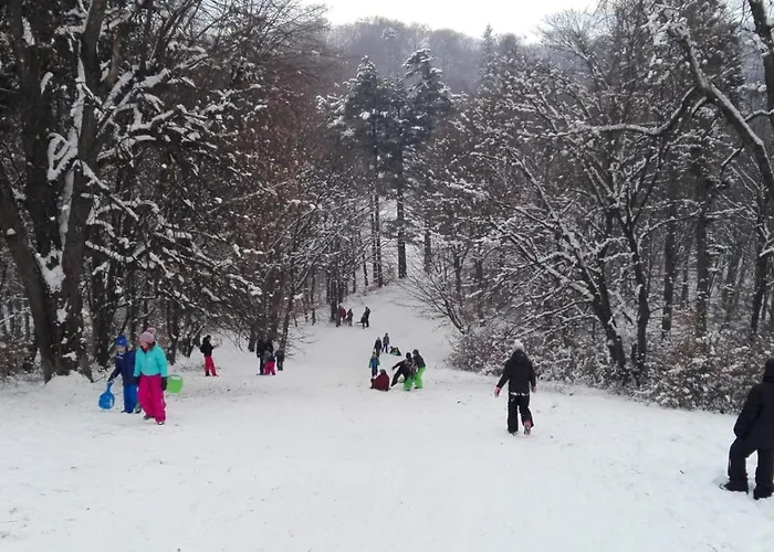 Park Parque de vacaciones 3*