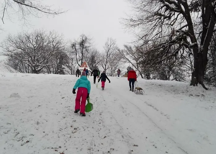 Parque de vacaciones Park Braşov