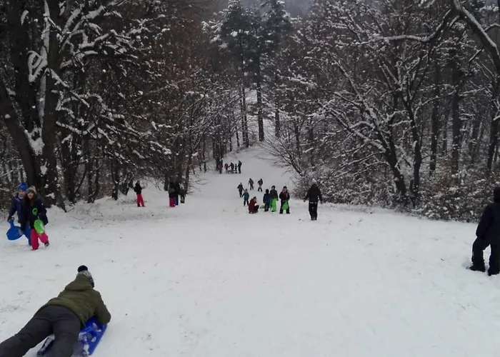 Holiday park Park Brasov